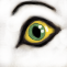 My Avatar