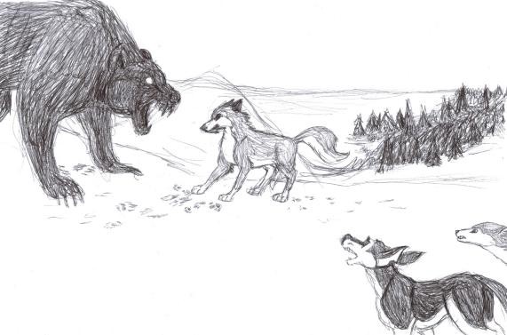 The Bear