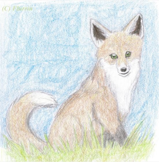Early Autumn, Late Fox