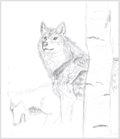 Realism WIP