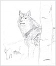 Realism WIP
