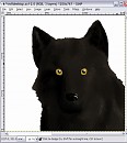 Another WIP