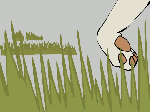 Anyu (Animation)