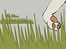 Anyu (Animation)