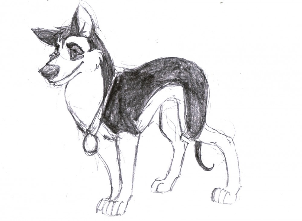 Connor