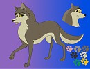 Lilien reference