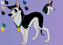 Connor Reference Sheet
