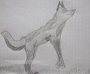 Trade with HaloKitty