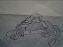 Snugglez <3