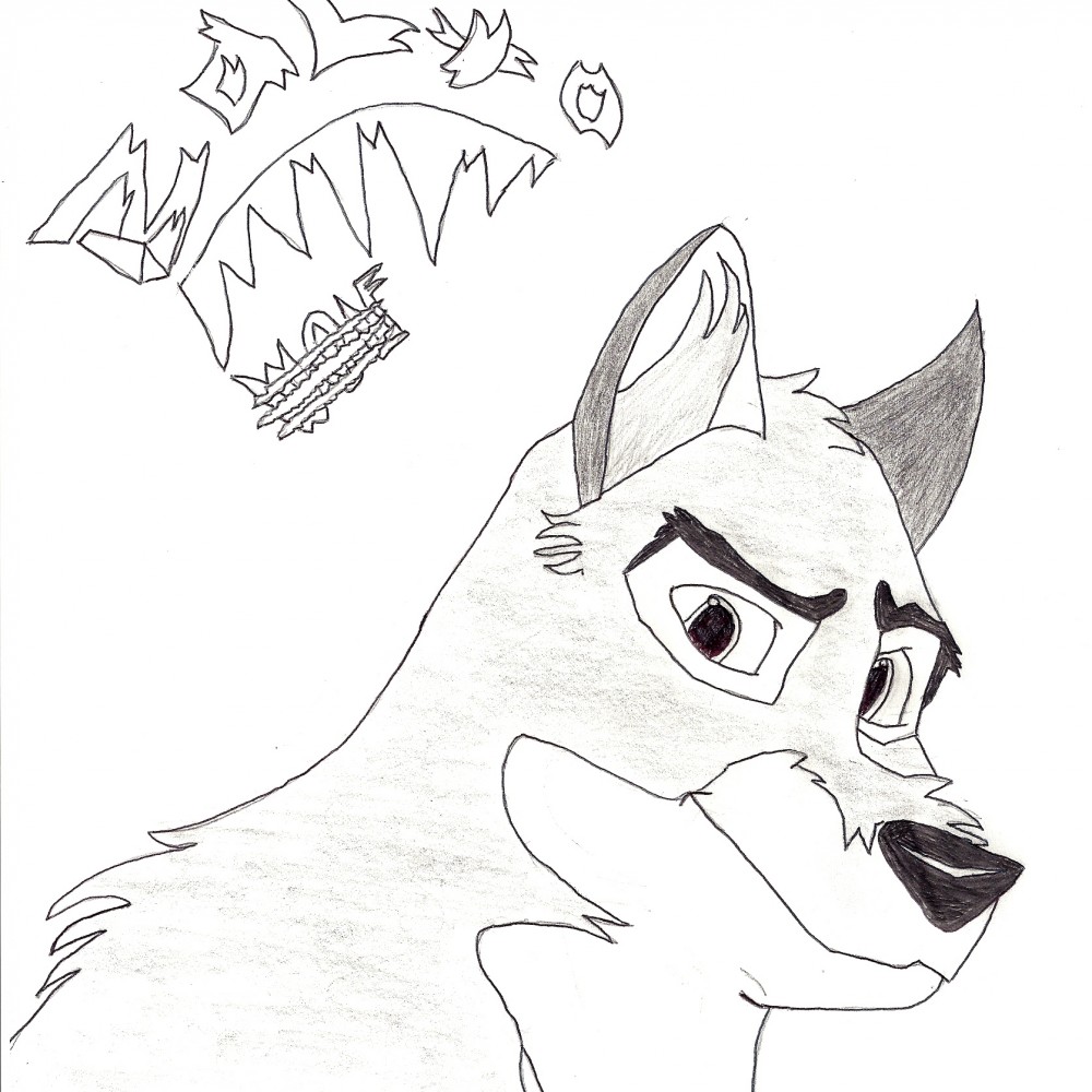 Balto drawing