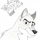 Balto drawing