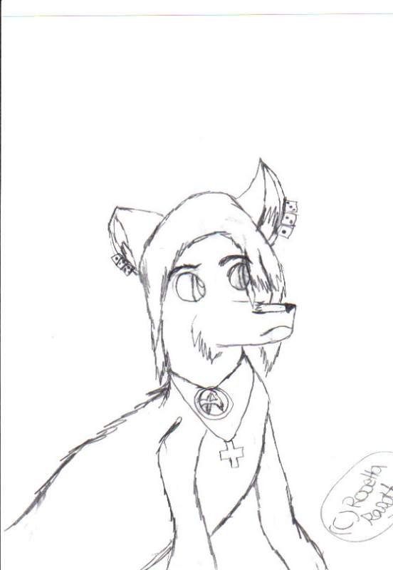 Rough draft