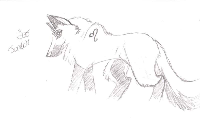 leo