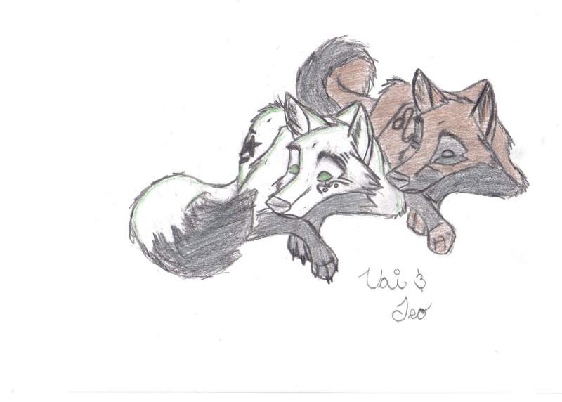 Uai and Leo sleepong