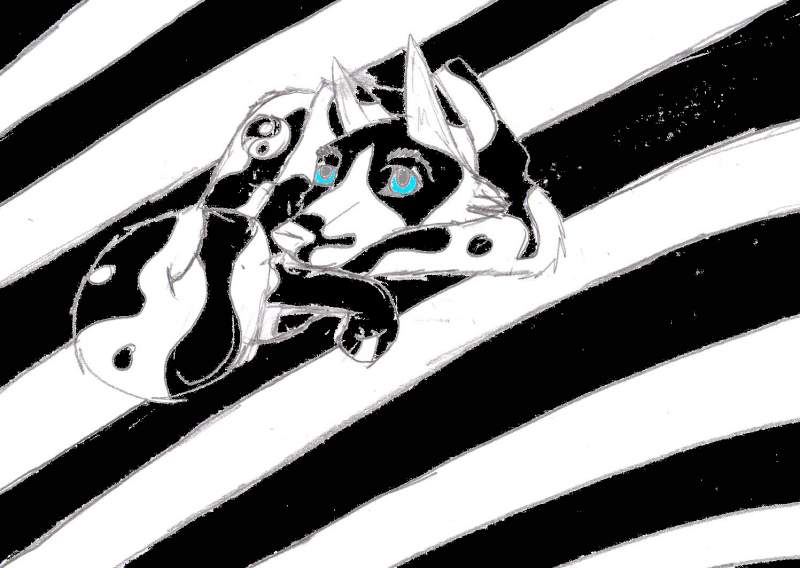 just ying yang colored on paint