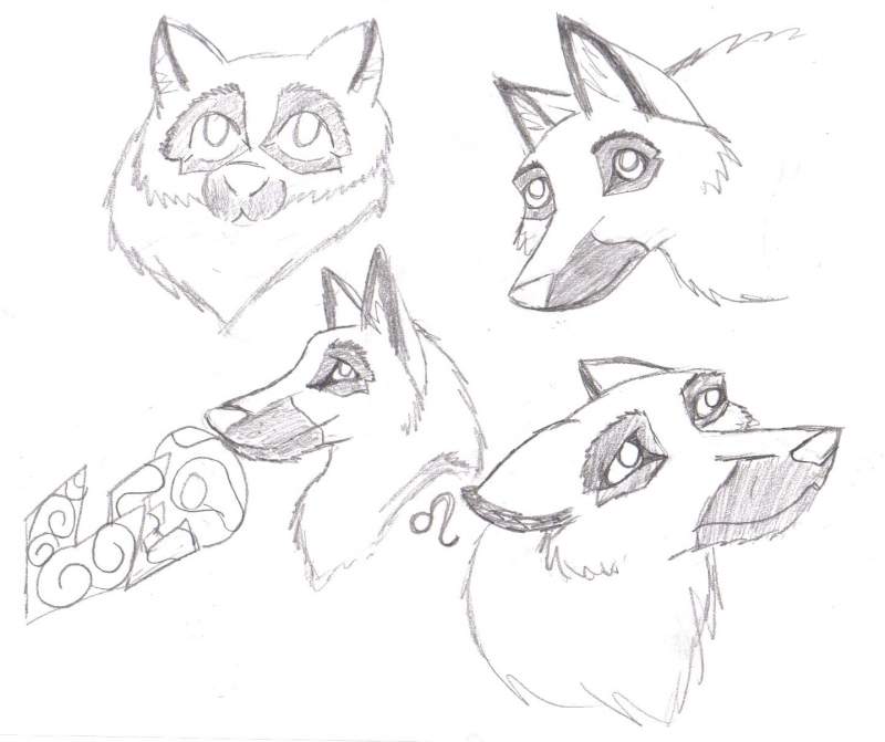 Bunch of Leo Doodles