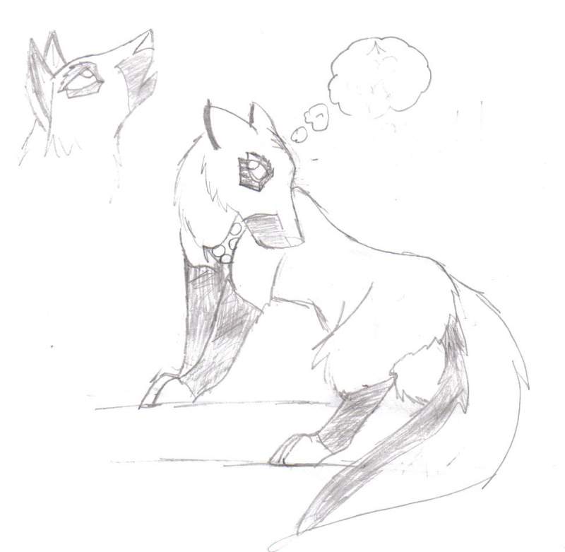 doodle