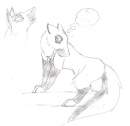 doodle