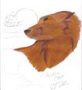 Prisma Color Pencil practice