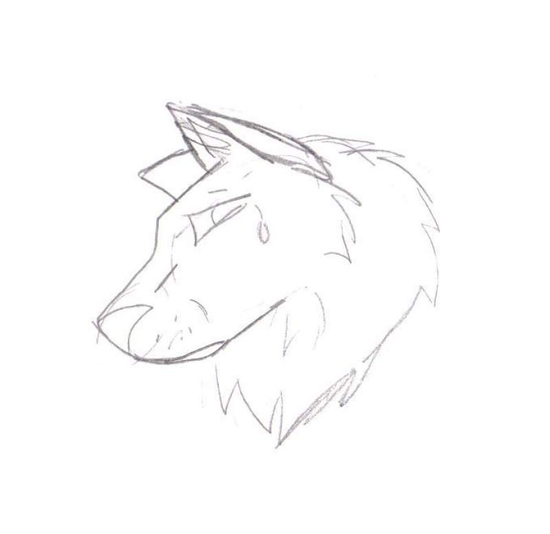 random