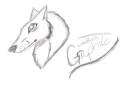 graphite