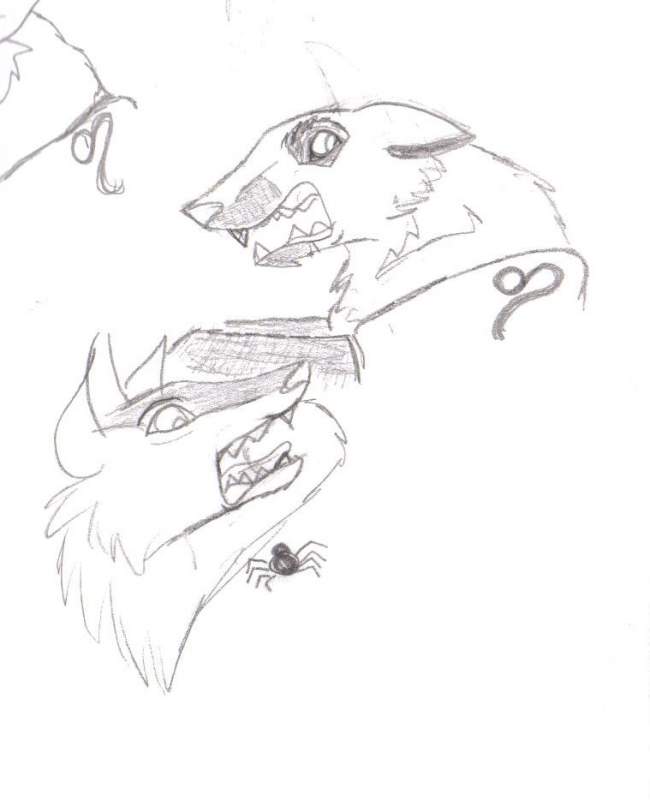 Scarry Doodle
