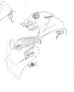 Scarry Doodle
