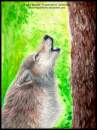 WolfSong