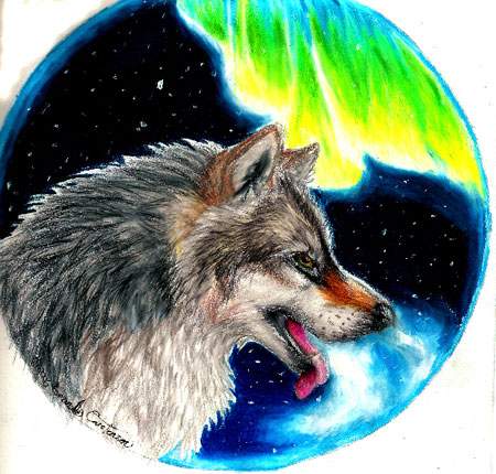 Lupus Borealis