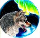 Lupus Borealis