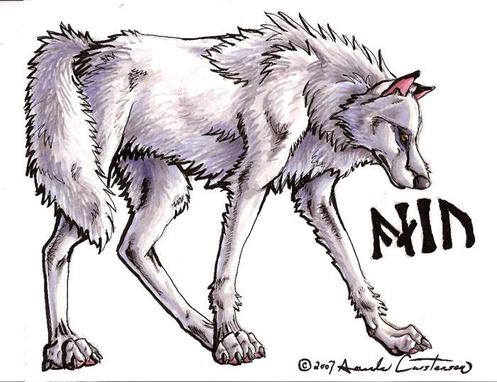 The White Wolf, Aniu