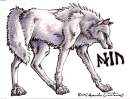 The White Wolf, Aniu