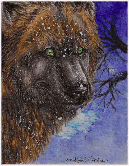 Into the Arctic Dusk