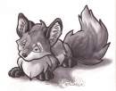 I'm So Cute 'N Fluffy