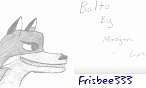 frisbee333