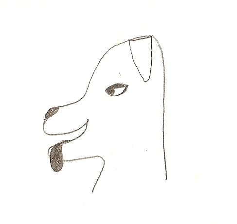 Frisbee