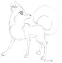 Jenna-like dog?