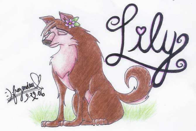 Lily