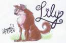 Lily