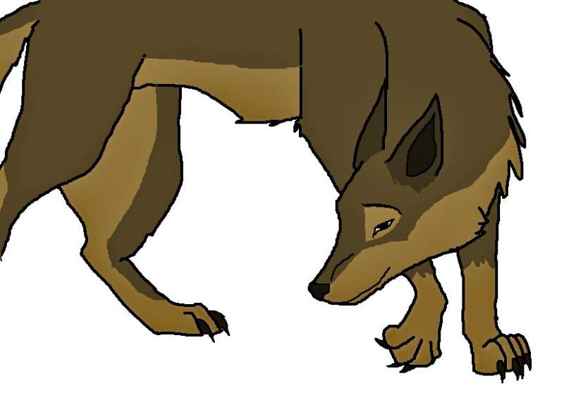 Balto