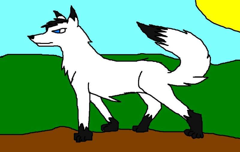 Wolf