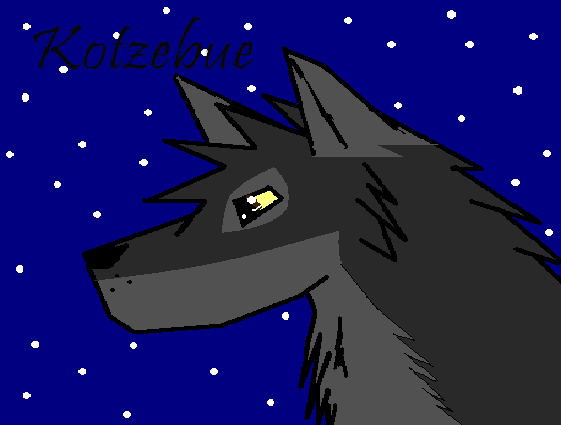 Balto at Night