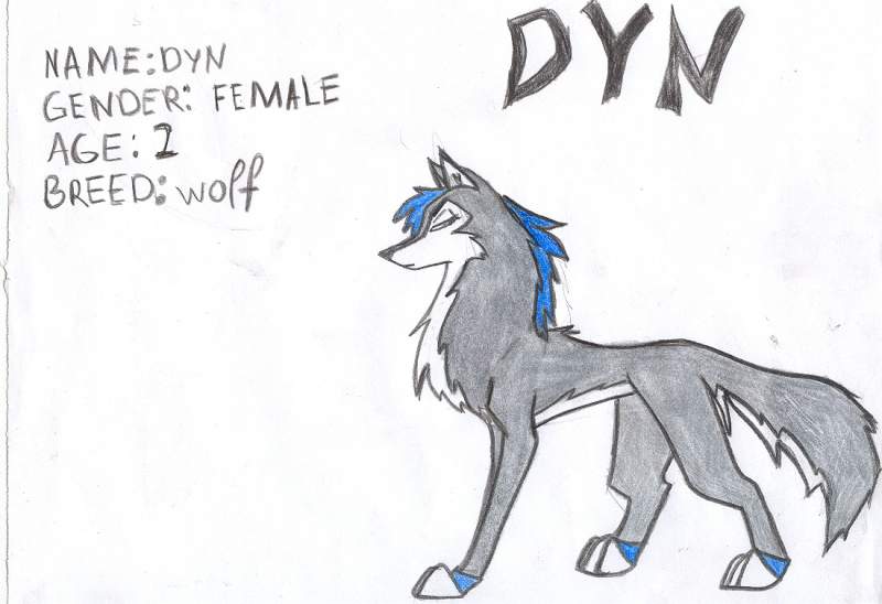 dyn