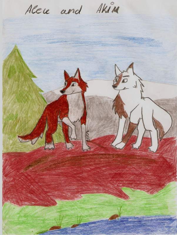 aleu and akim