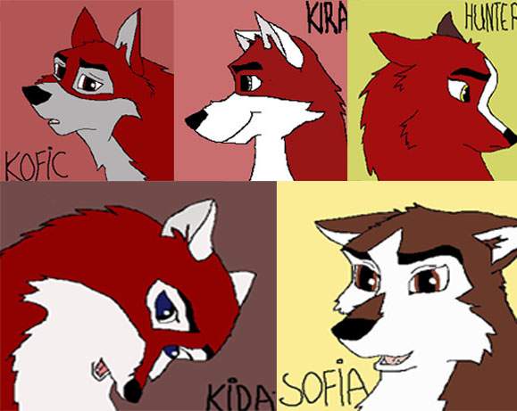 second Balto's litter