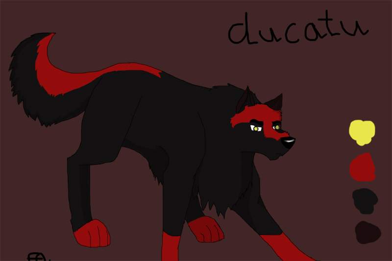 ducatu