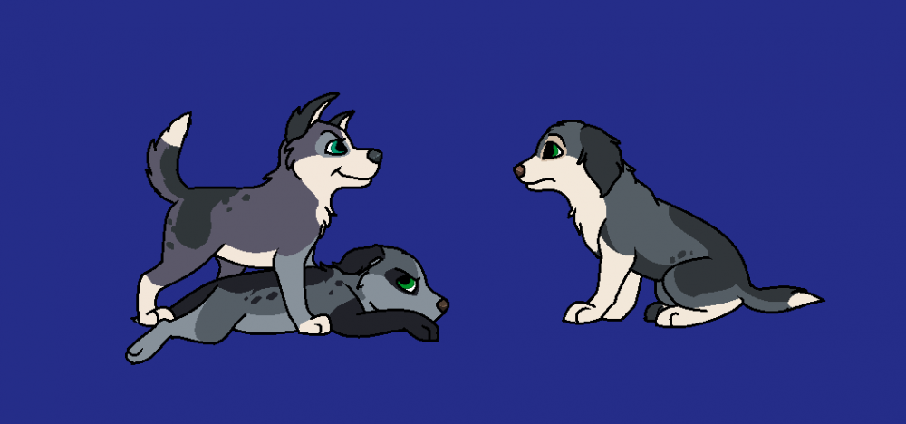 They all are grey