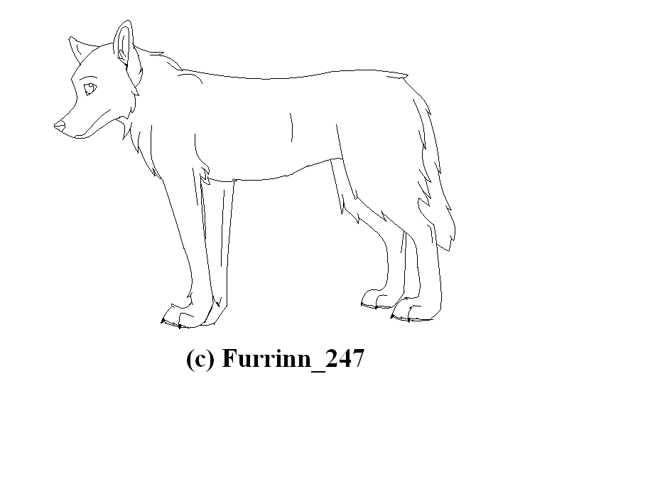 Wolf line art. 