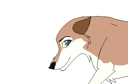 Aleu