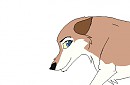 Aleu